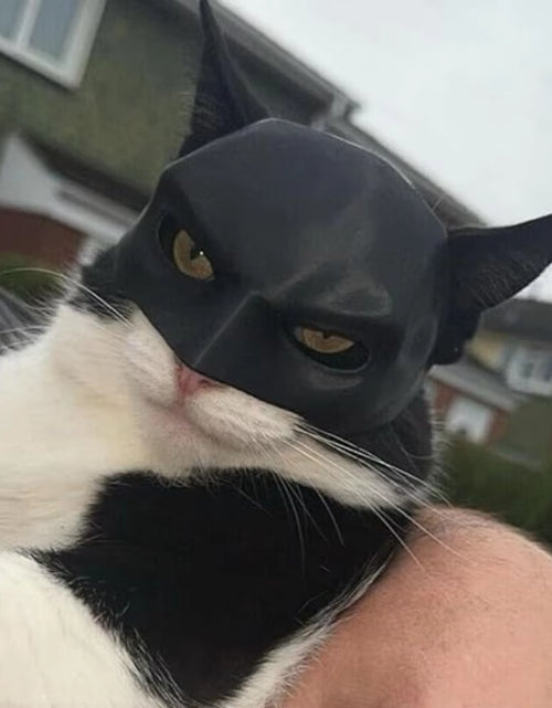 Load image into Gallery viewer, New Black Bat Cat Avenger Mask Cat Mask Avenger Mask Matte Cute Bat Mask Cool Superhero Pet Cat Dog Toy
