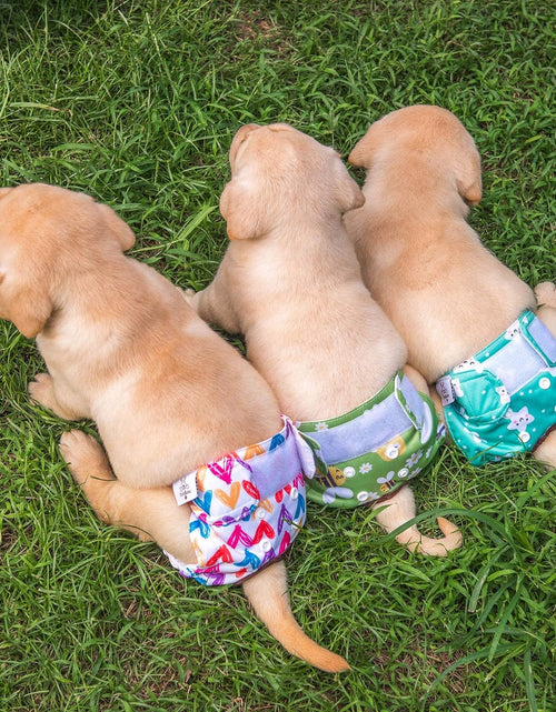 Load image into Gallery viewer, Dog Diapers Female Washable Doggie Diapers Reusable 3 Pack for Heat D29XS
