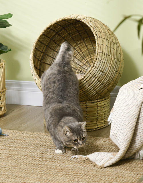 Load image into Gallery viewer, Elevated Cat Bed W/ Cat Egg Chair Shape, Raised Wicker Cat Bed
